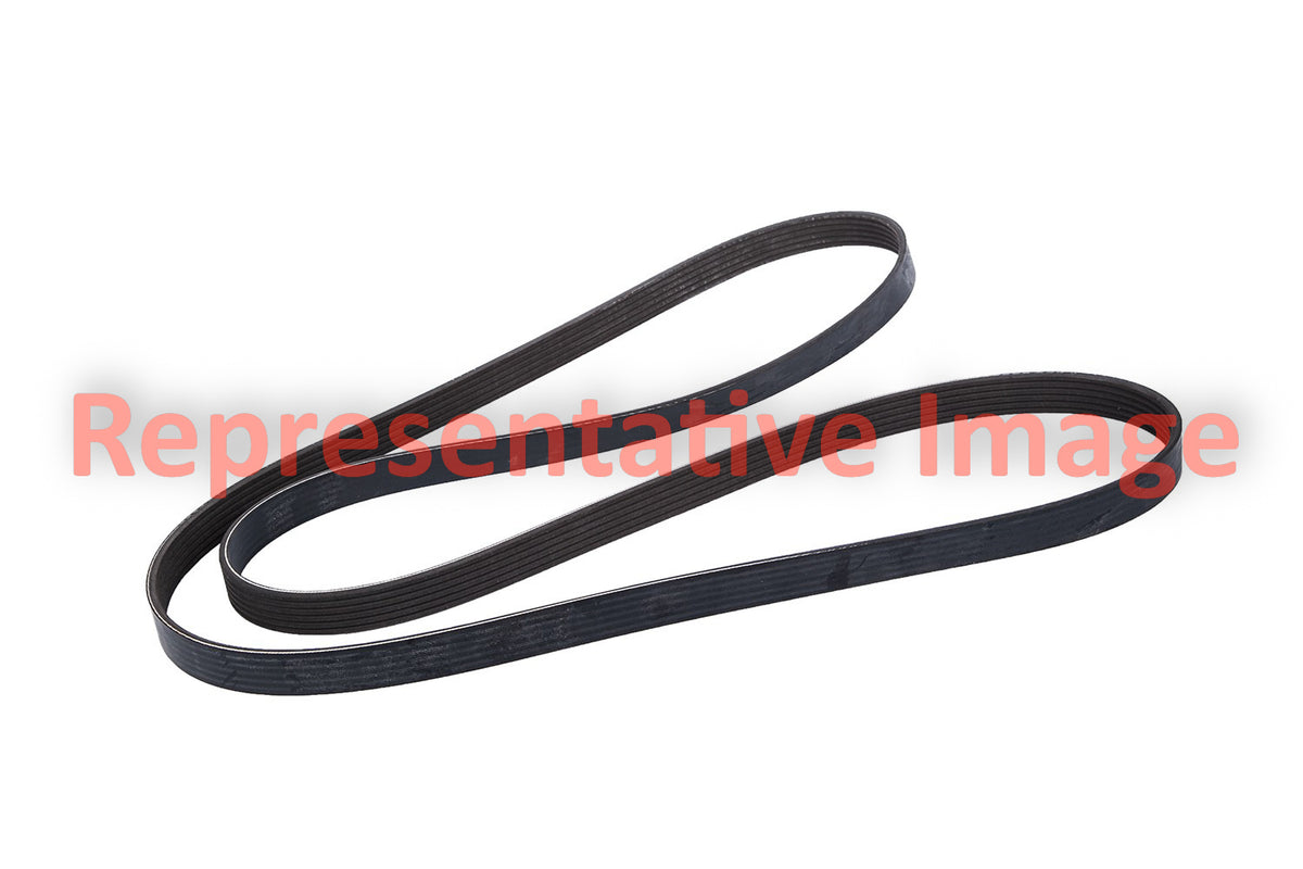 Continental Accessory Drive Belt 22410