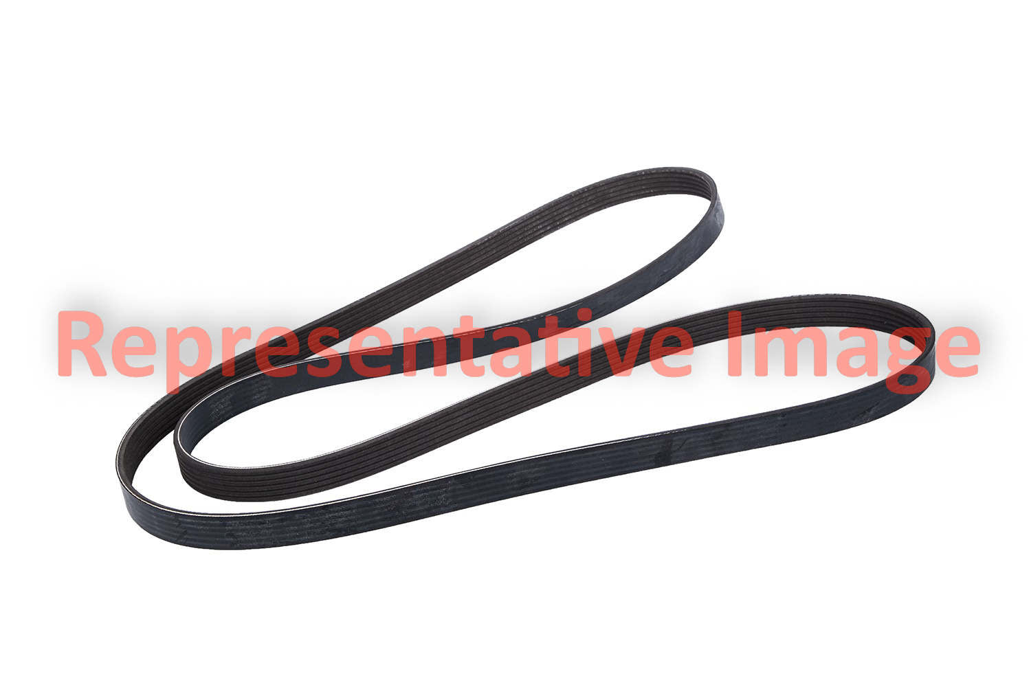 Continental Accessory Drive Belt 22430