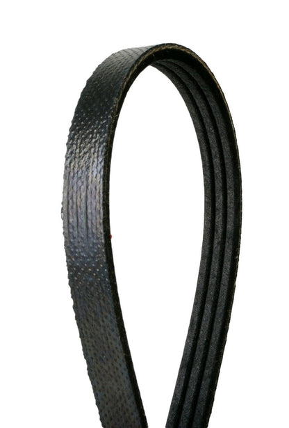 Continental Serpentine Belt 3K750