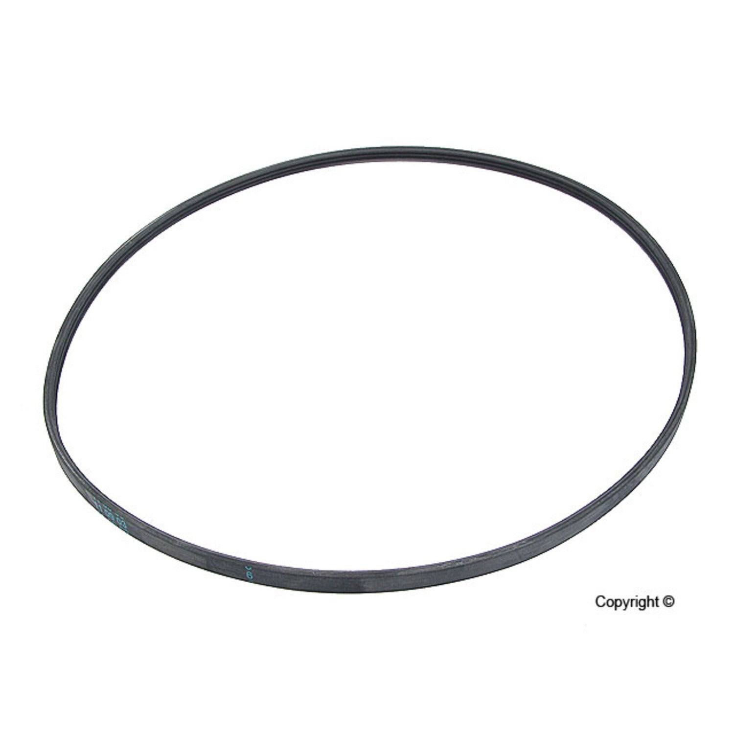 Continental Serpentine Belt 3PJ891