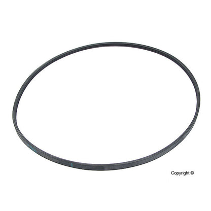 Continental Serpentine Belt 3PJ891