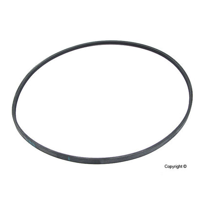 Continental Serpentine Belt 3PJ891
