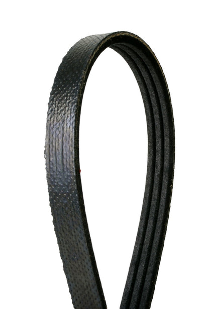 Continental Serpentine Belt 4030280