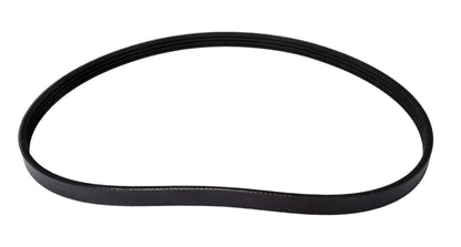 Continental Serpentine Belt 4040362S