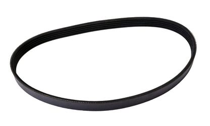 Continental Serpentine Belt 4050339S