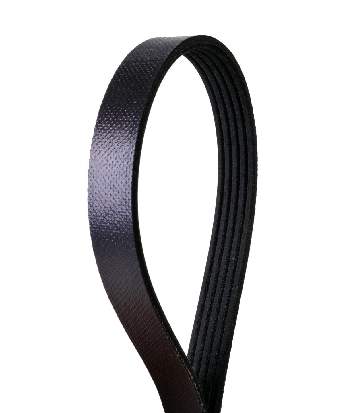 Continental Serpentine Belt 4050339S