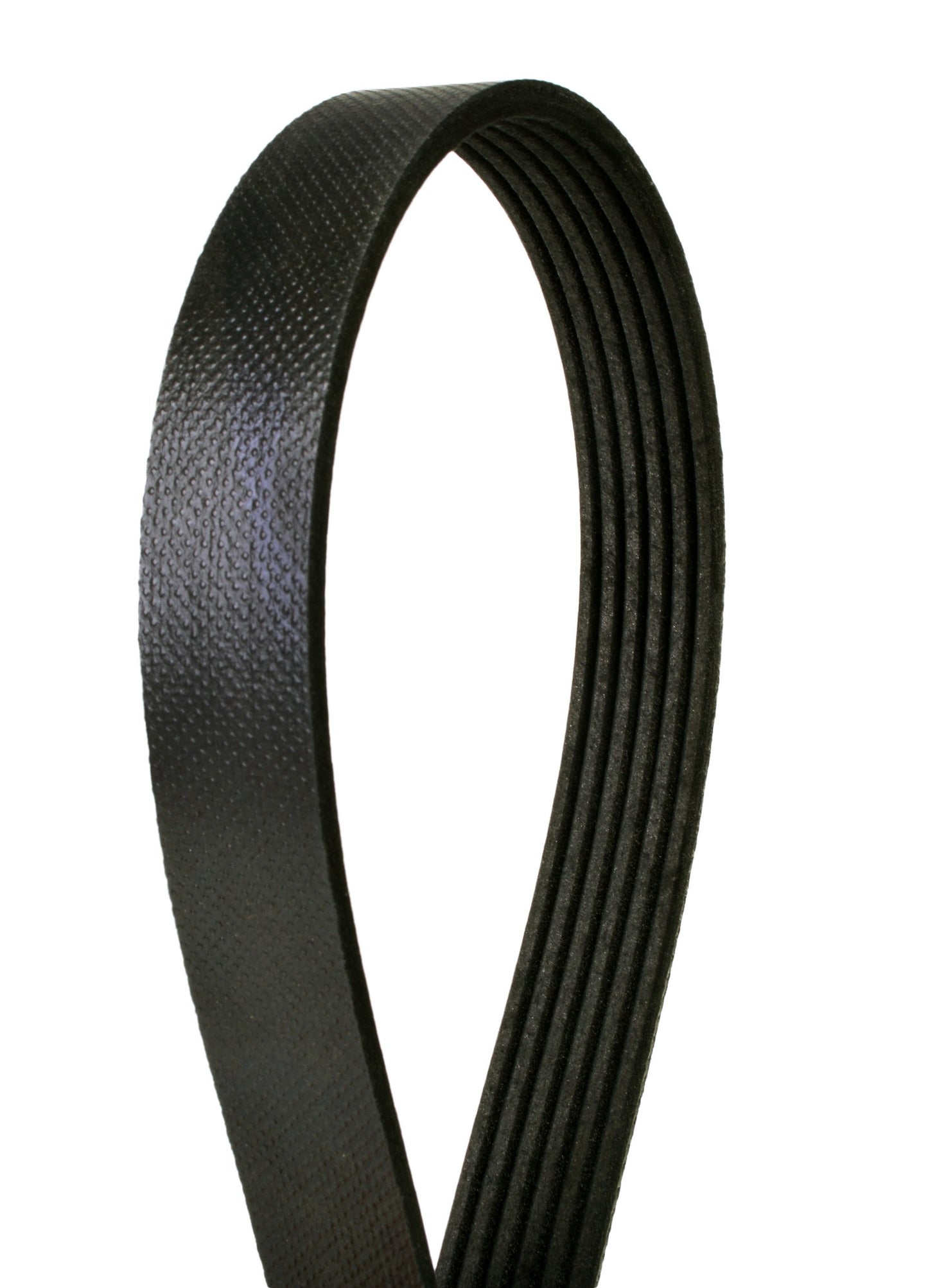 Continental Serpentine Belt 4060690