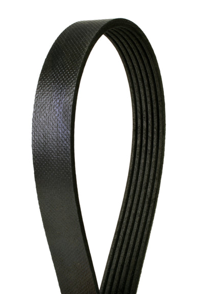 Continental Serpentine Belt 4060690