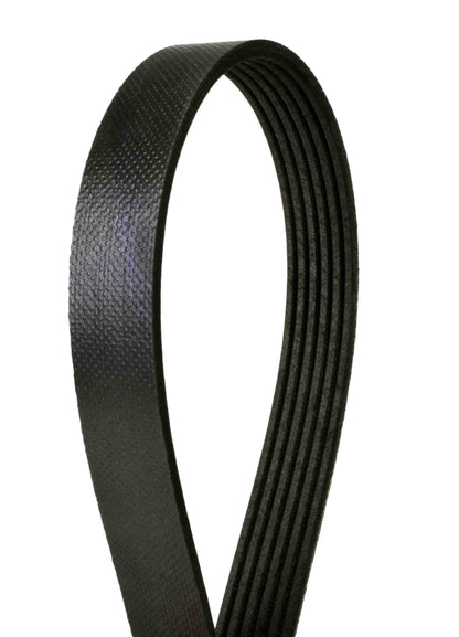 Continental Serpentine Belt 4060840