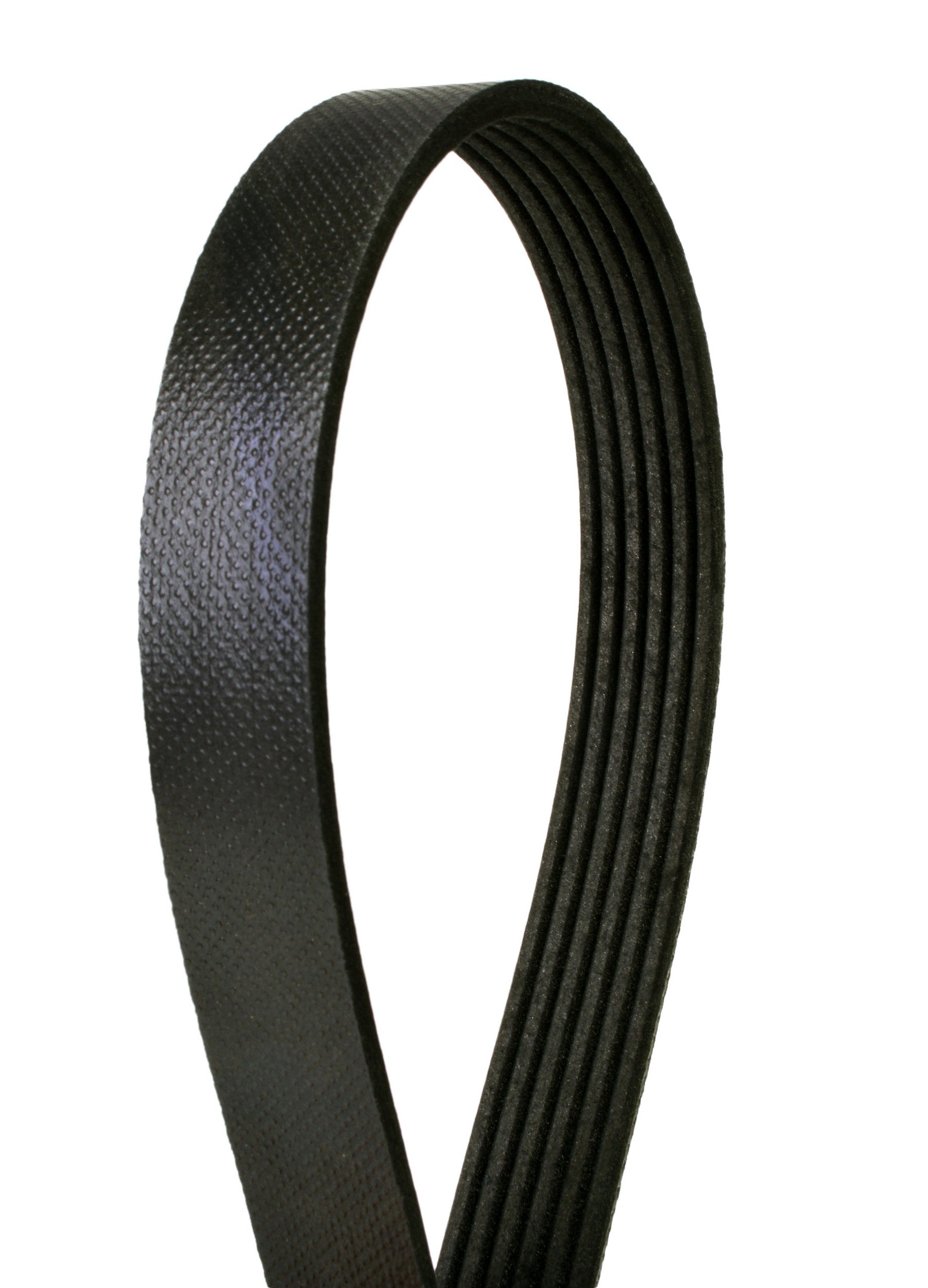 Continental Serpentine Belt 4060862