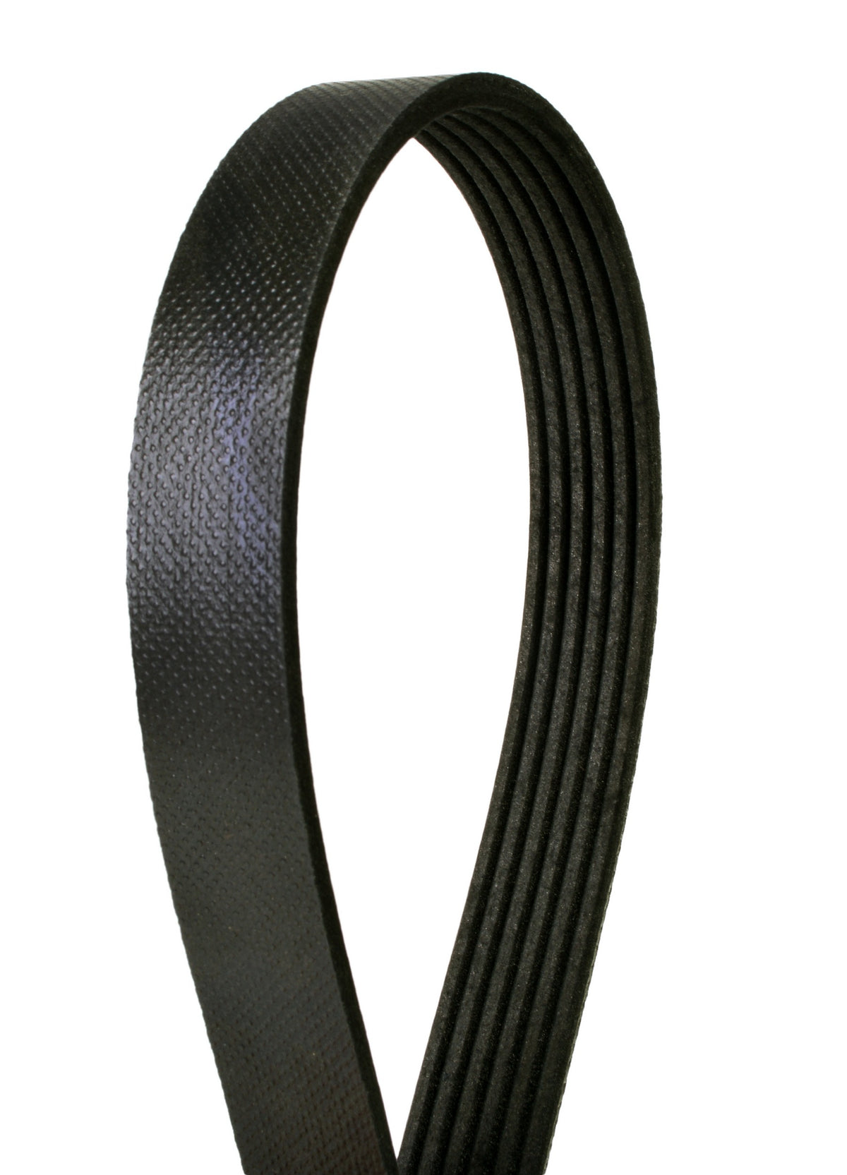 Continental Serpentine Belt 4060915