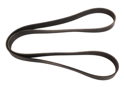 Continental Serpentine Belt 4080392