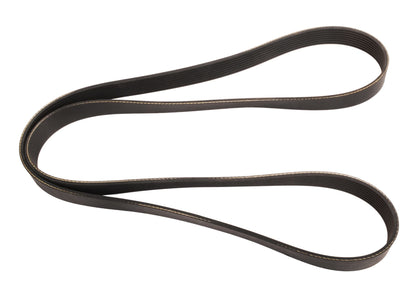 Continental Serpentine Belt 4080635