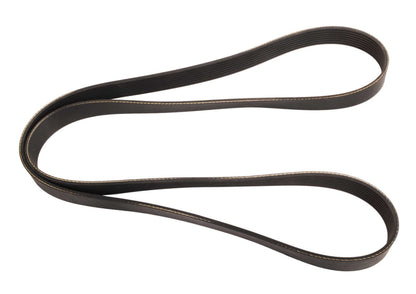 Continental Serpentine Belt 4080635