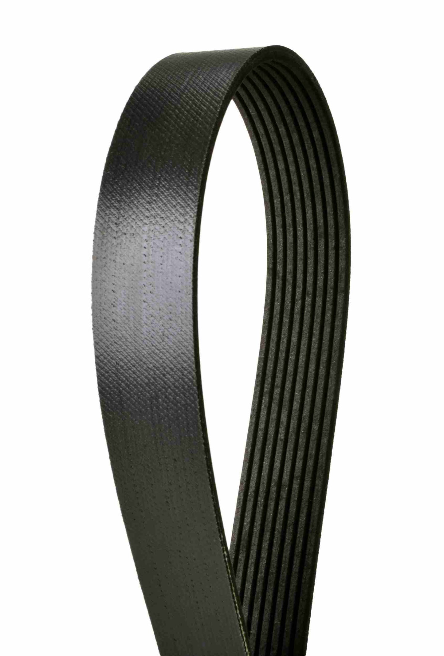 Continental Serpentine Belt 4080635