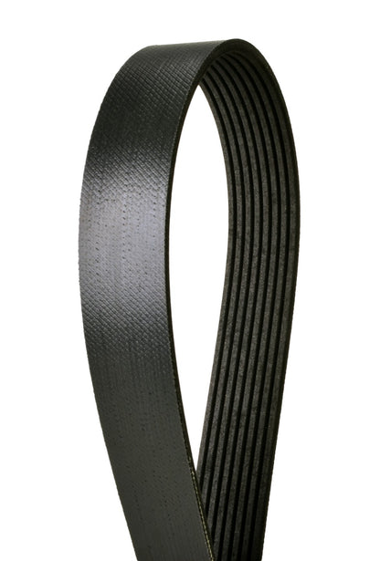 Continental Serpentine Belt 4080715