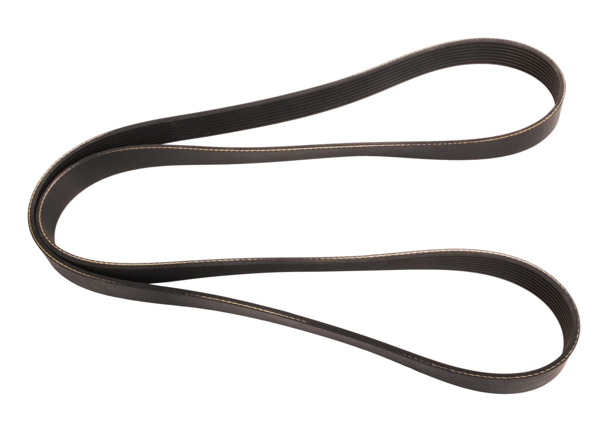 Continental Serpentine Belt 4081215X