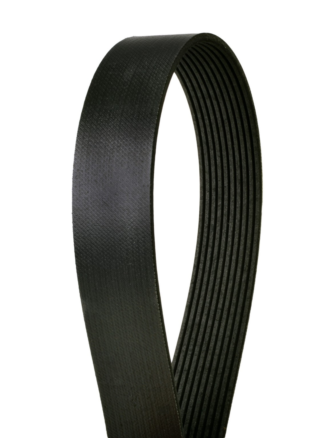 Continental Serpentine Belt 4100583
