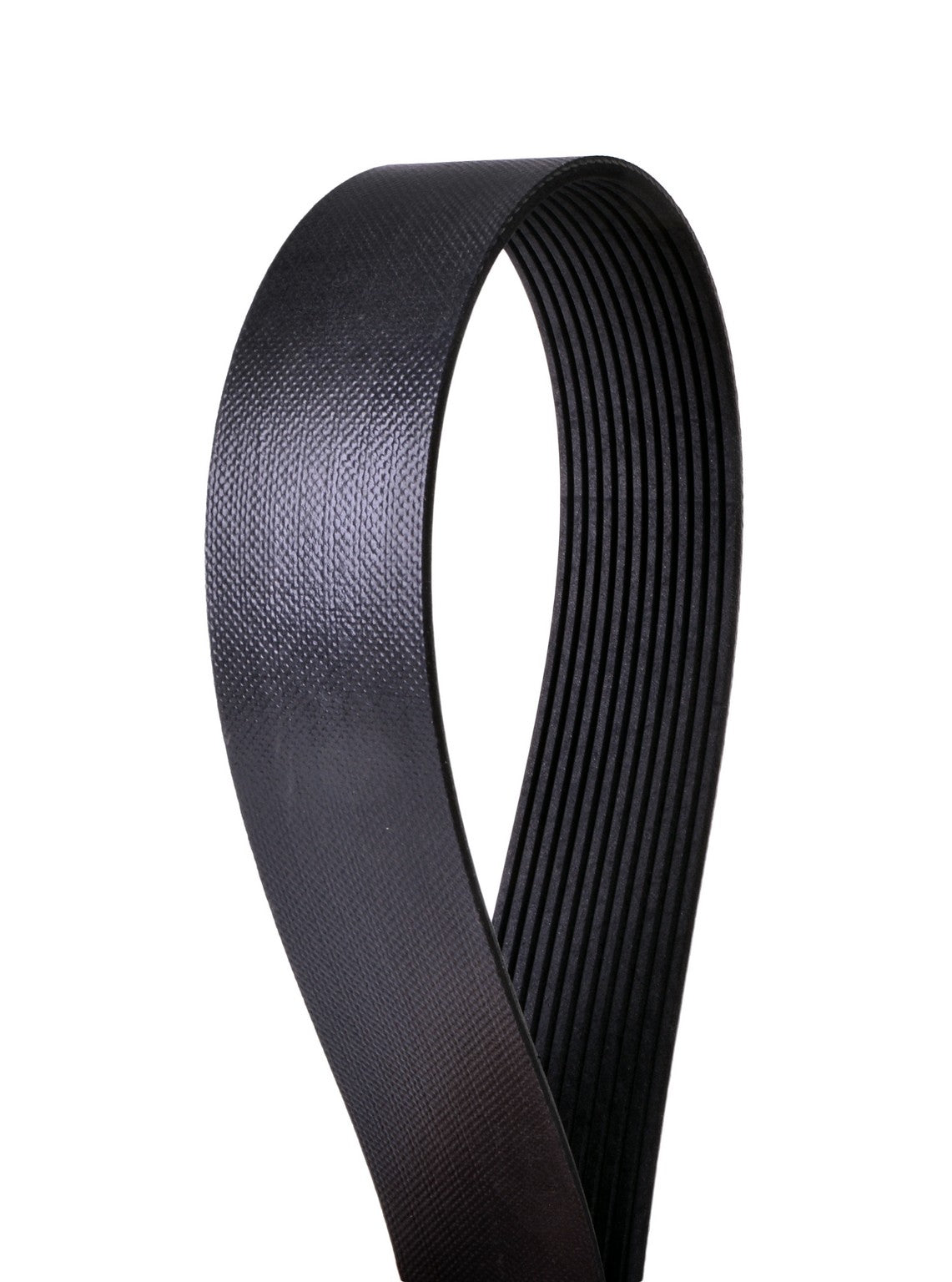 Continental Serpentine Belt 4120863