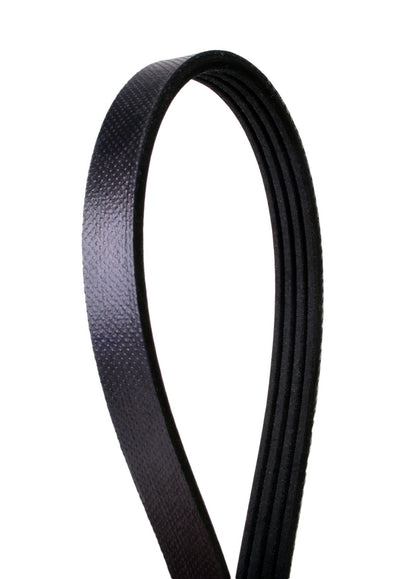 Continental Serpentine Belt