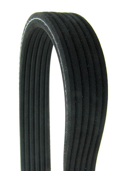 Continental Serpentine Belt 6DK1285