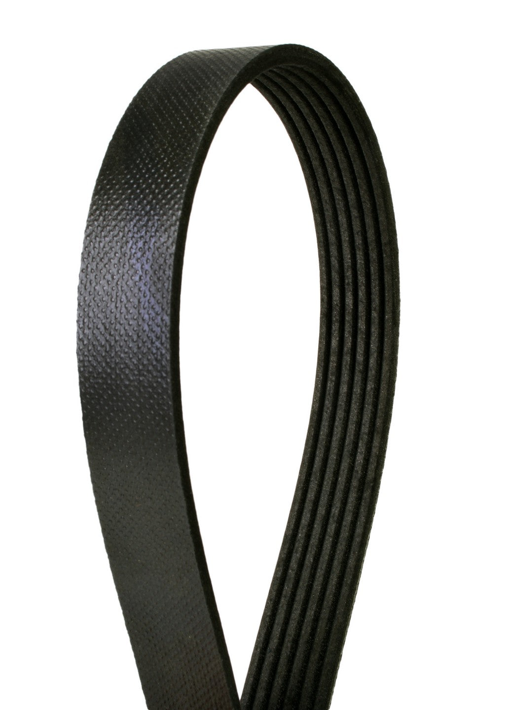Continental Serpentine Belt