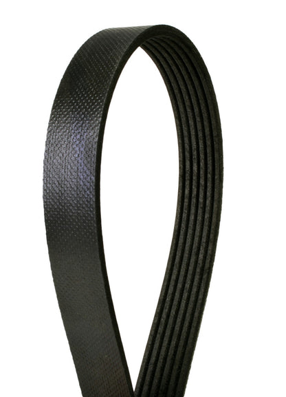 Continental Serpentine Belt