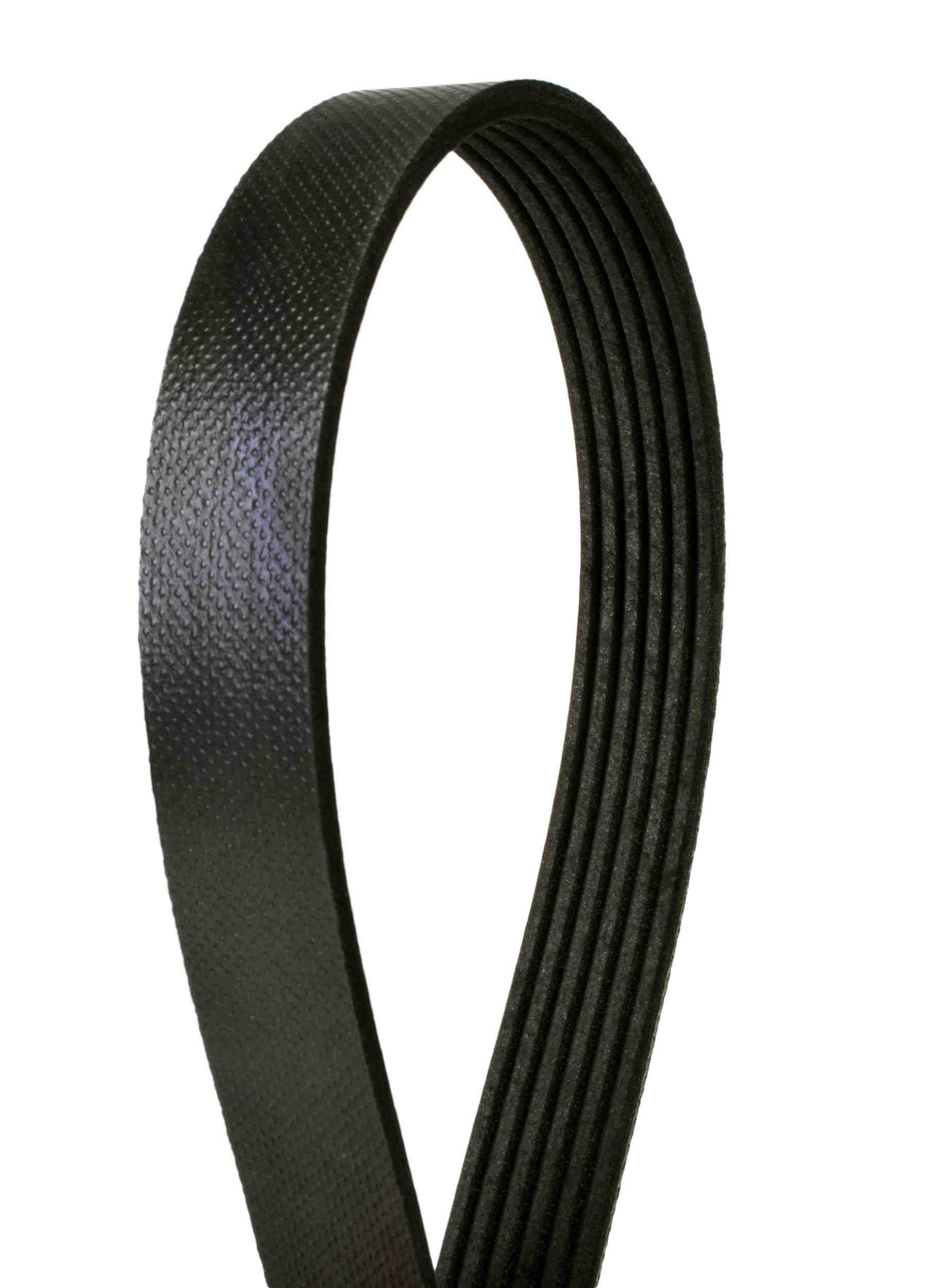 Continental Serpentine Belt 6PK1070