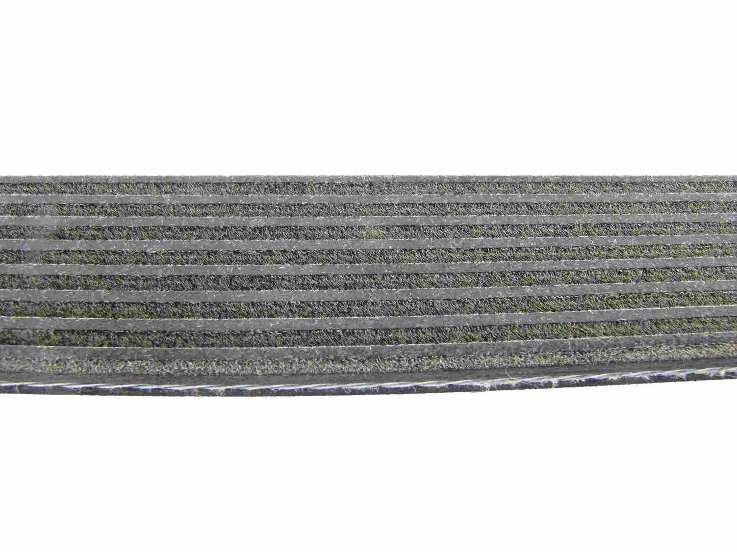 Continental Serpentine Belt 8DK1412