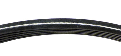 Continental Serpentine Belt D4050610