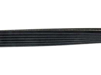 Continental Serpentine Belt D4060808