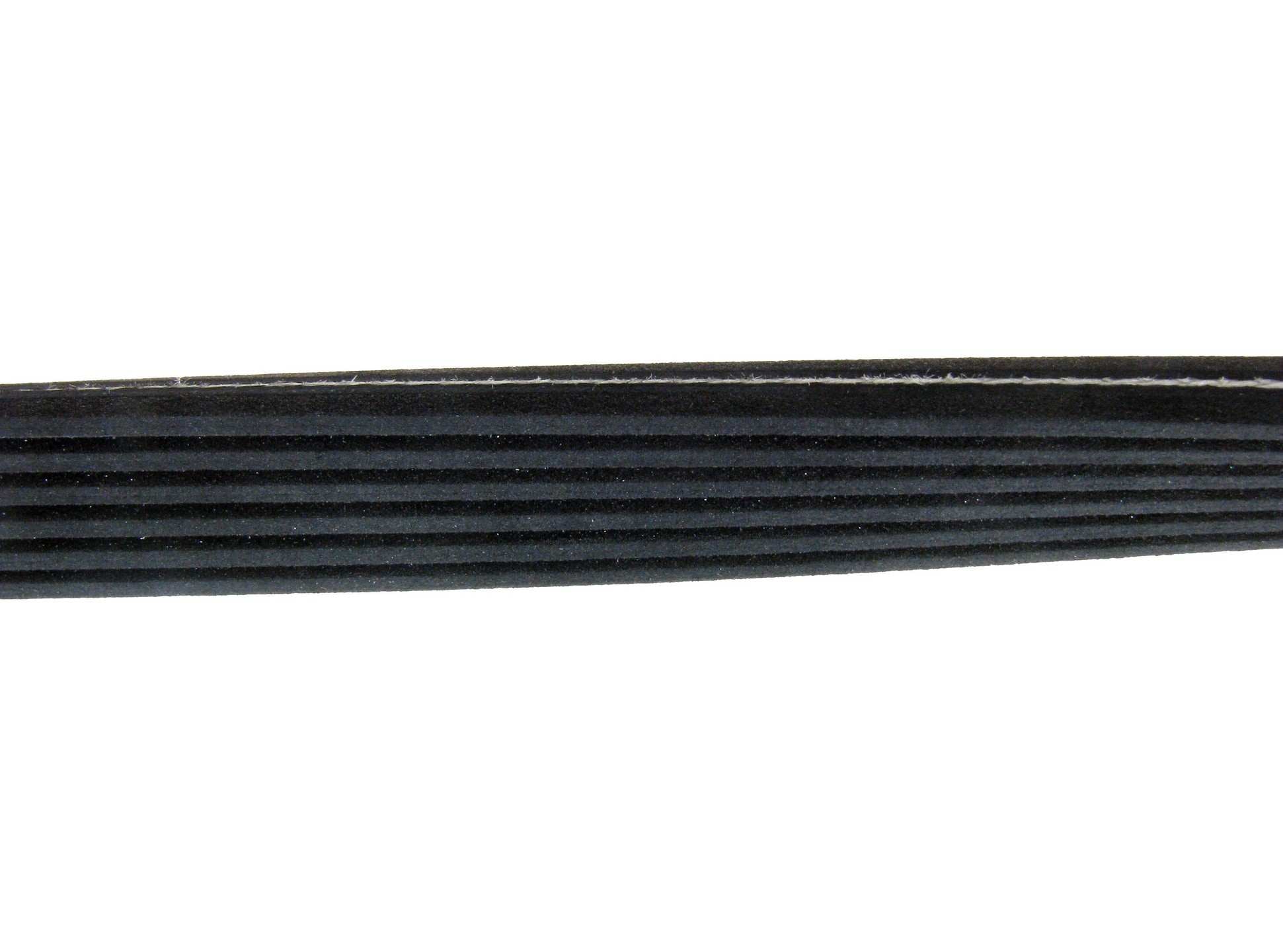 Continental Serpentine Belt D4060861