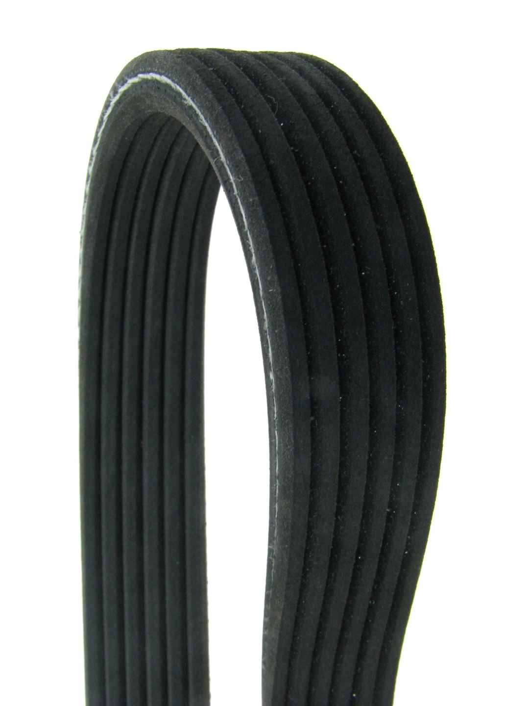 Continental Serpentine Belt D4060861