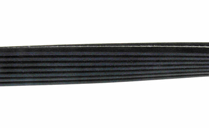 Continental Serpentine Belt D4070535