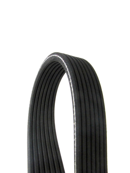 Continental Serpentine Belt D4070535
