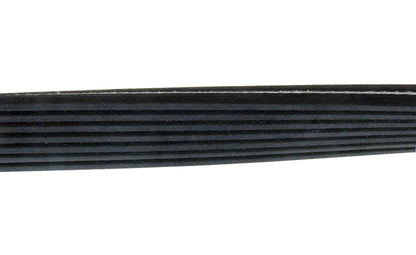 Continental Serpentine Belt D4070816