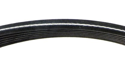 Continental Serpentine Belt D4071135