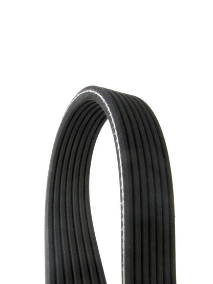 Continental Serpentine Belt D4071161