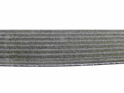 Continental Serpentine Belt D4080534