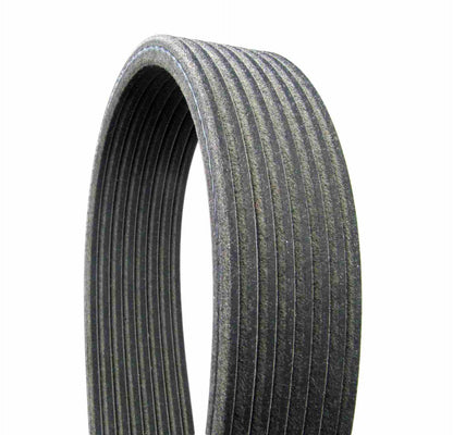 Continental Serpentine Belt D4080555