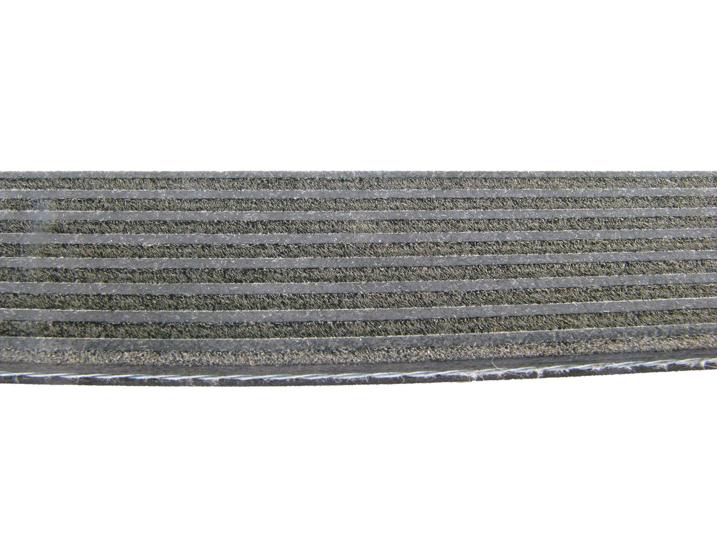 Continental Serpentine Belt D4080569
