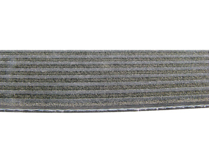 Continental Serpentine Belt D4080569