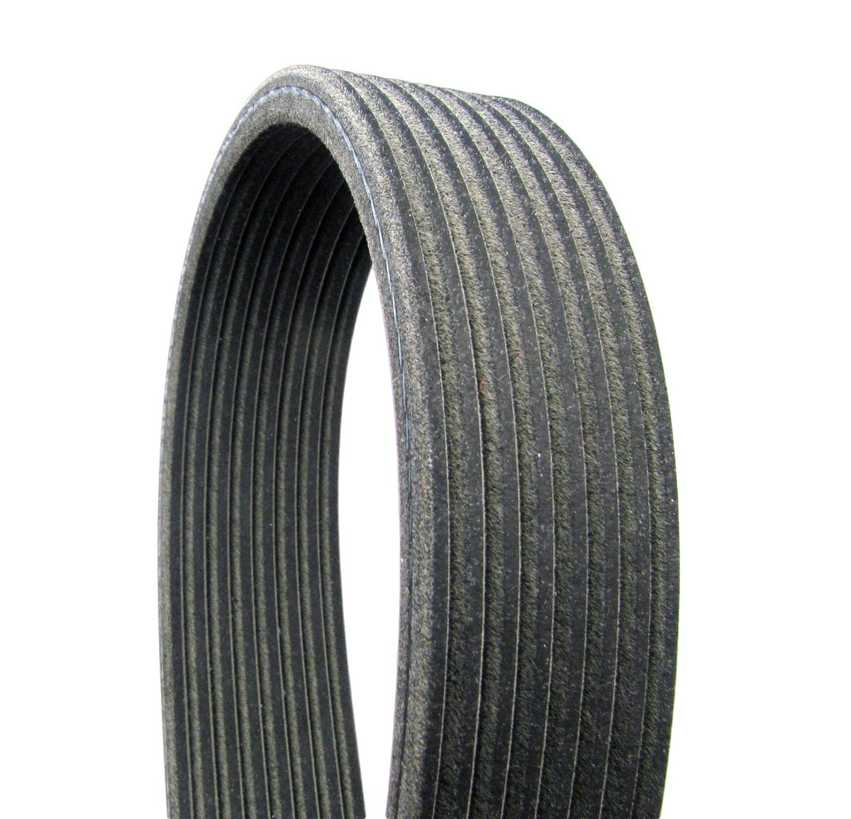 Continental Serpentine Belt D4080569