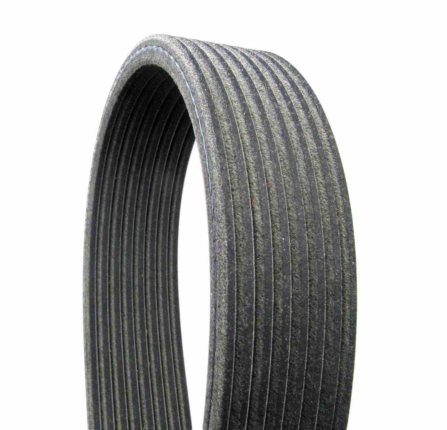Continental Serpentine Belt D4081403
