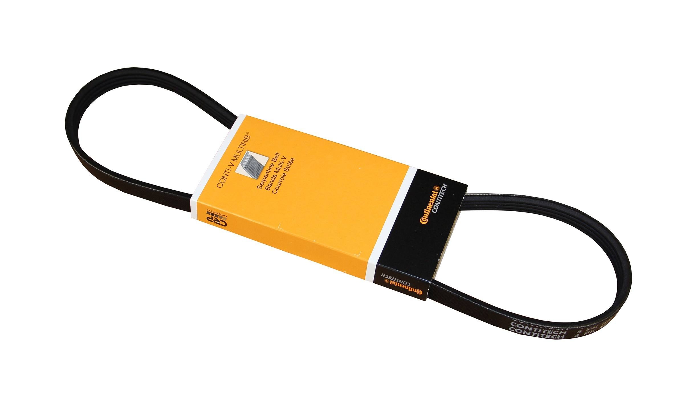 Continental Serpentine Belt EB005