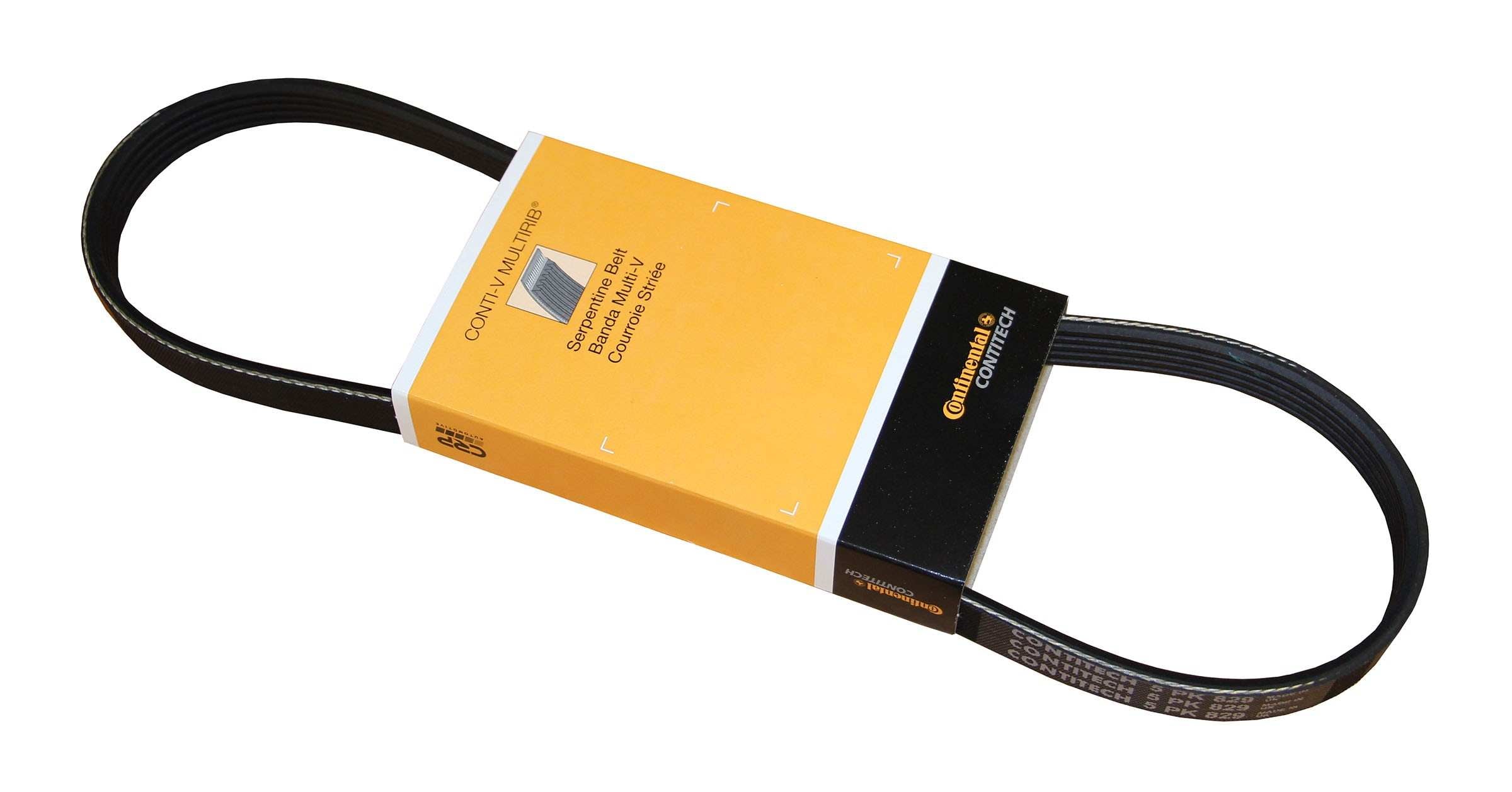 Continental Serpentine Belt PK050326