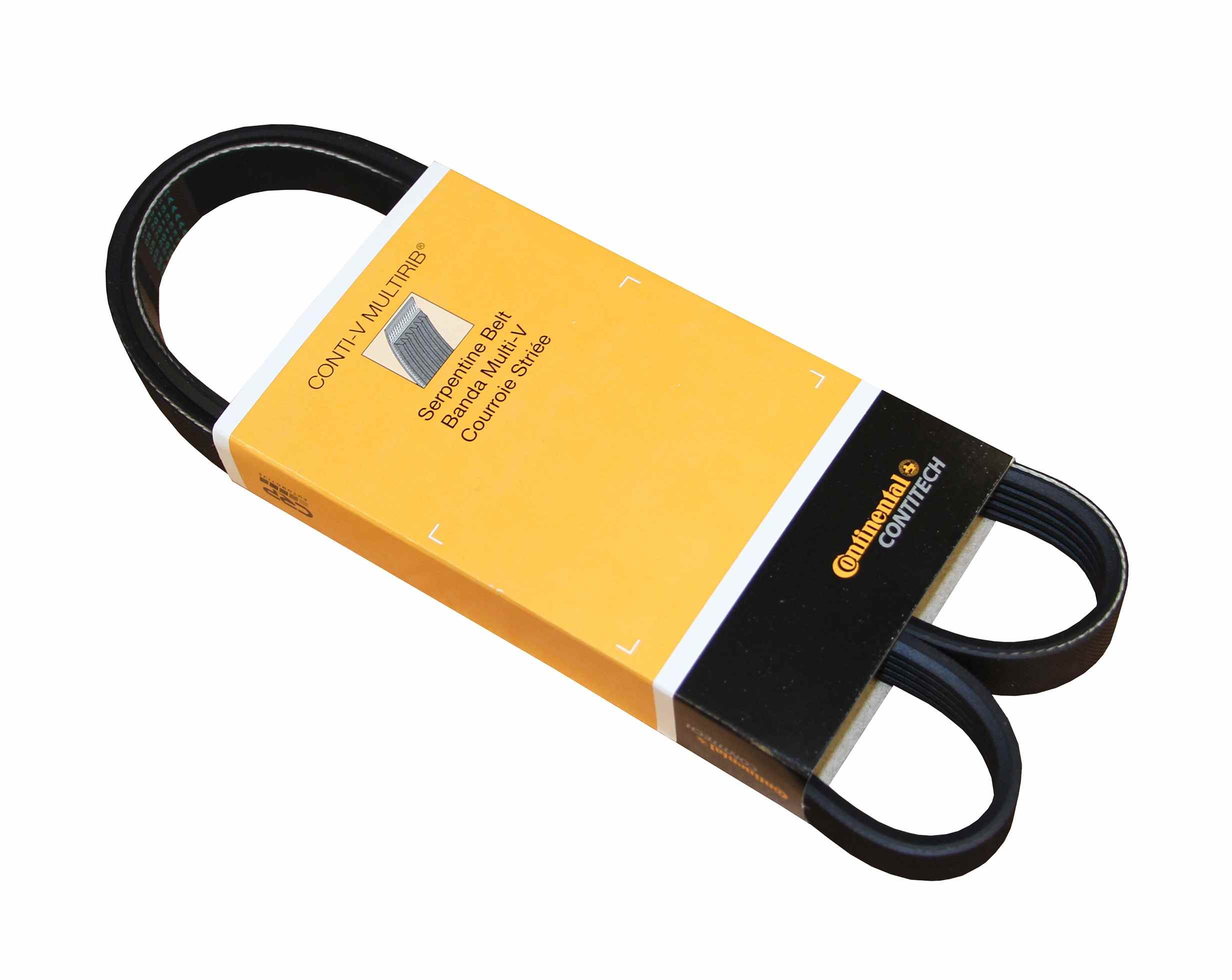 Continental Serpentine Belt PK050435