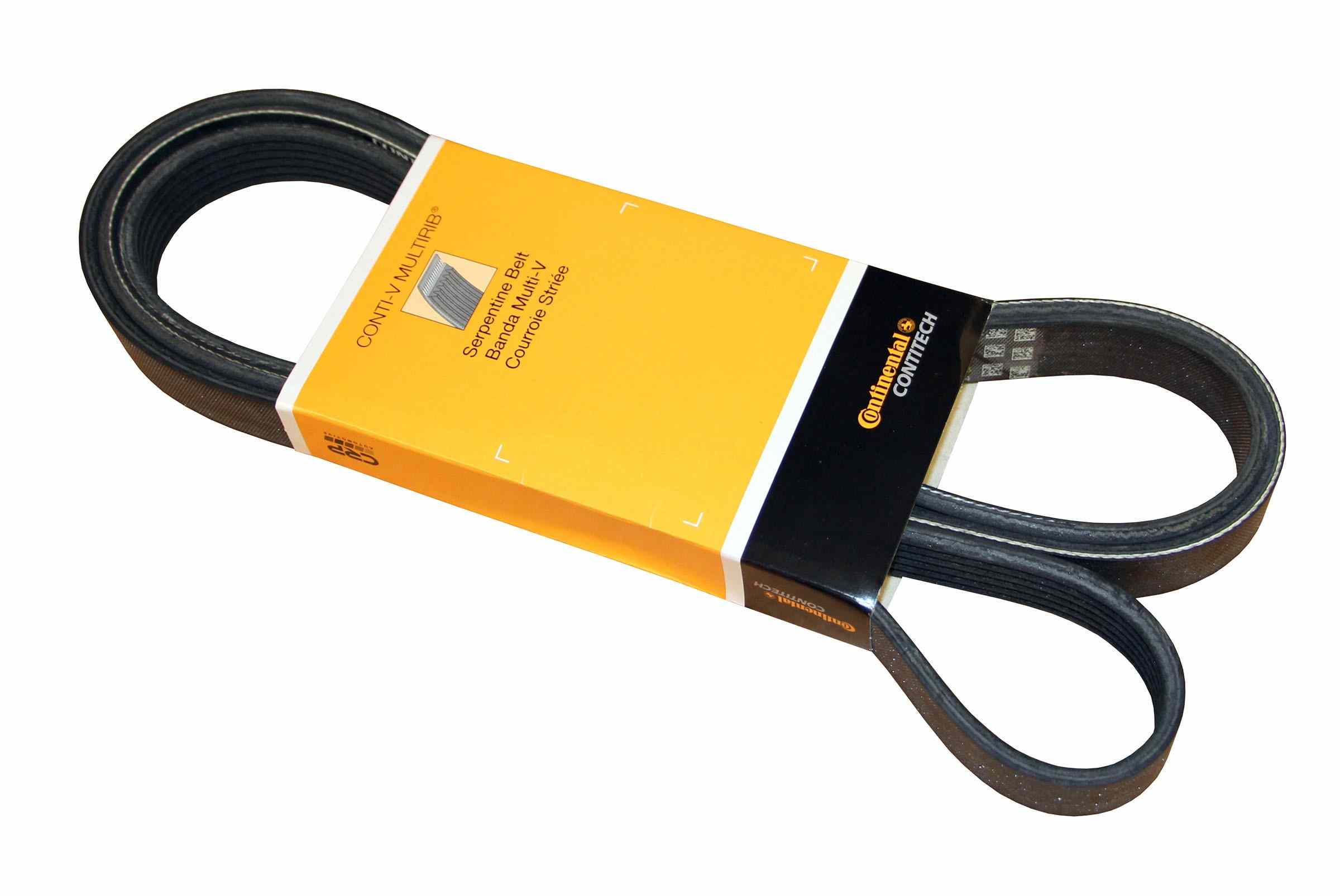 Continental Serpentine Belt PK060795