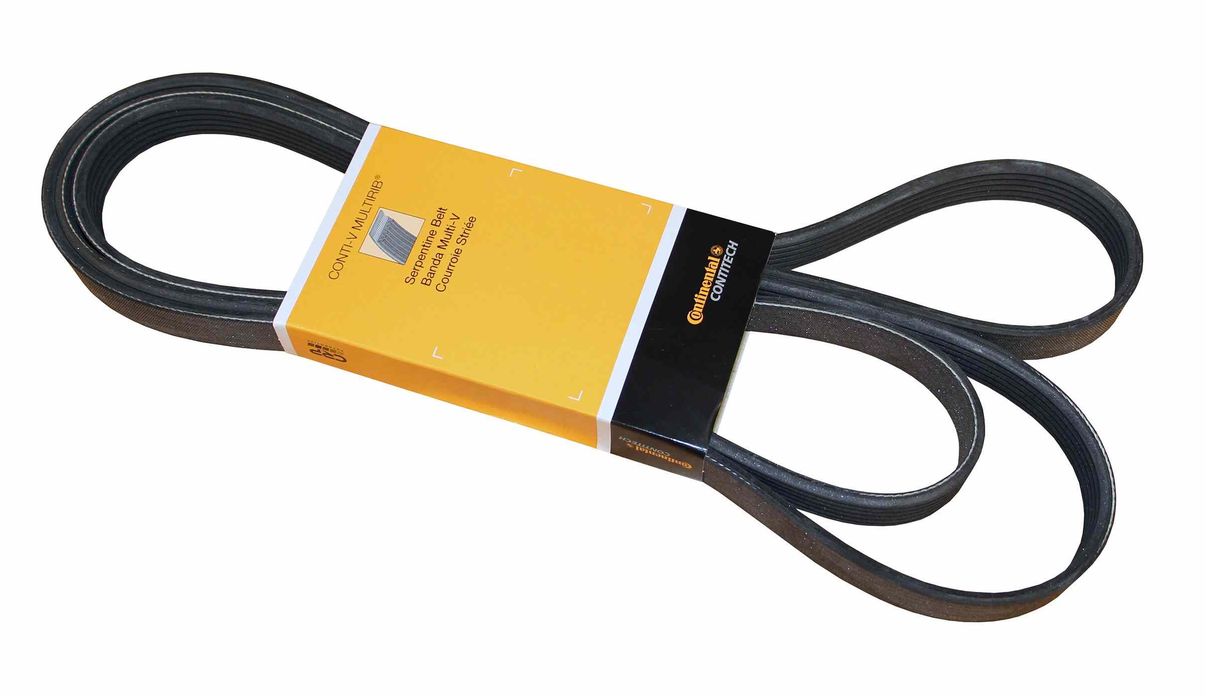 Continental Serpentine Belt PK060988