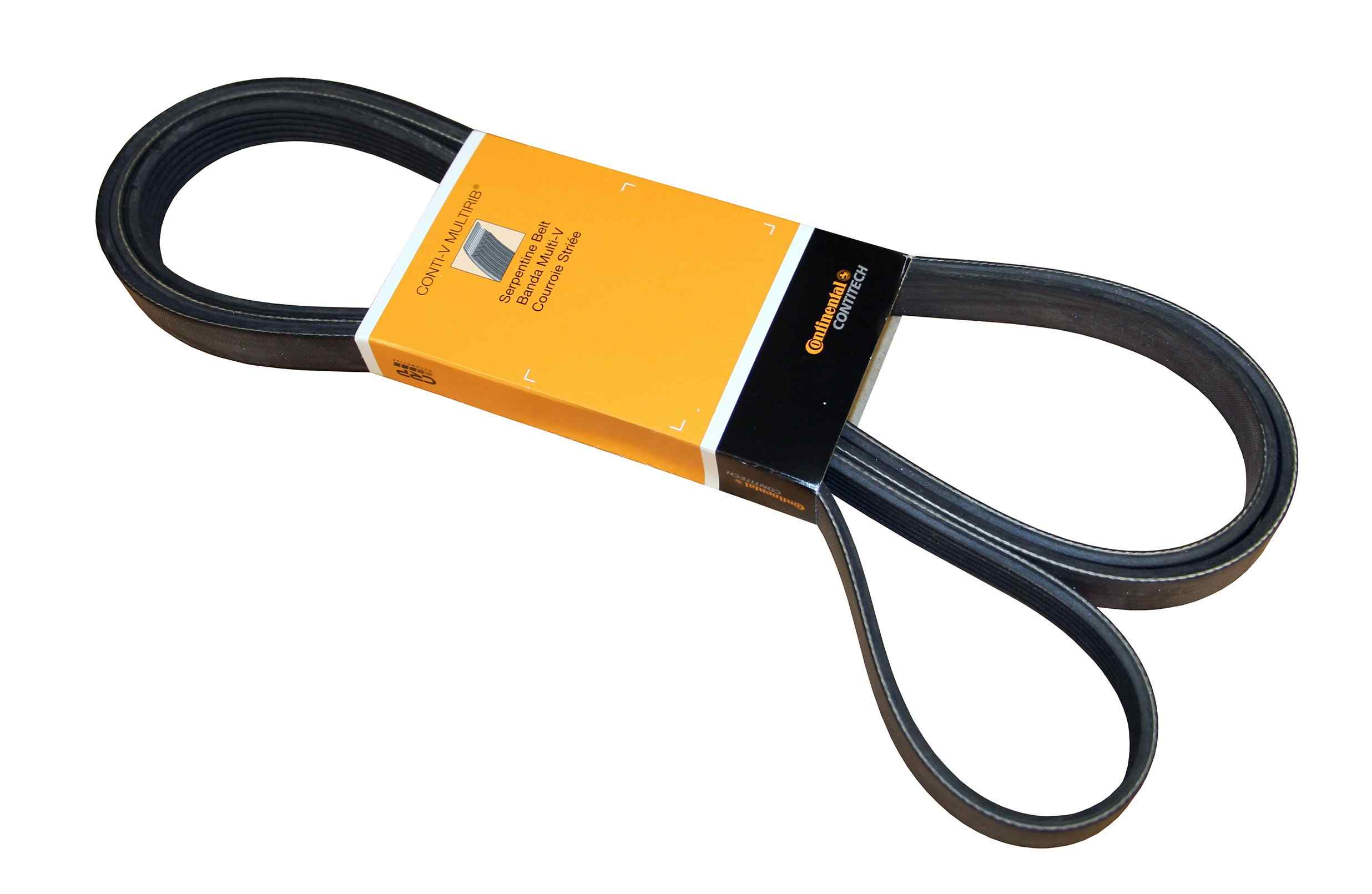 Continental Serpentine Belt PK061031